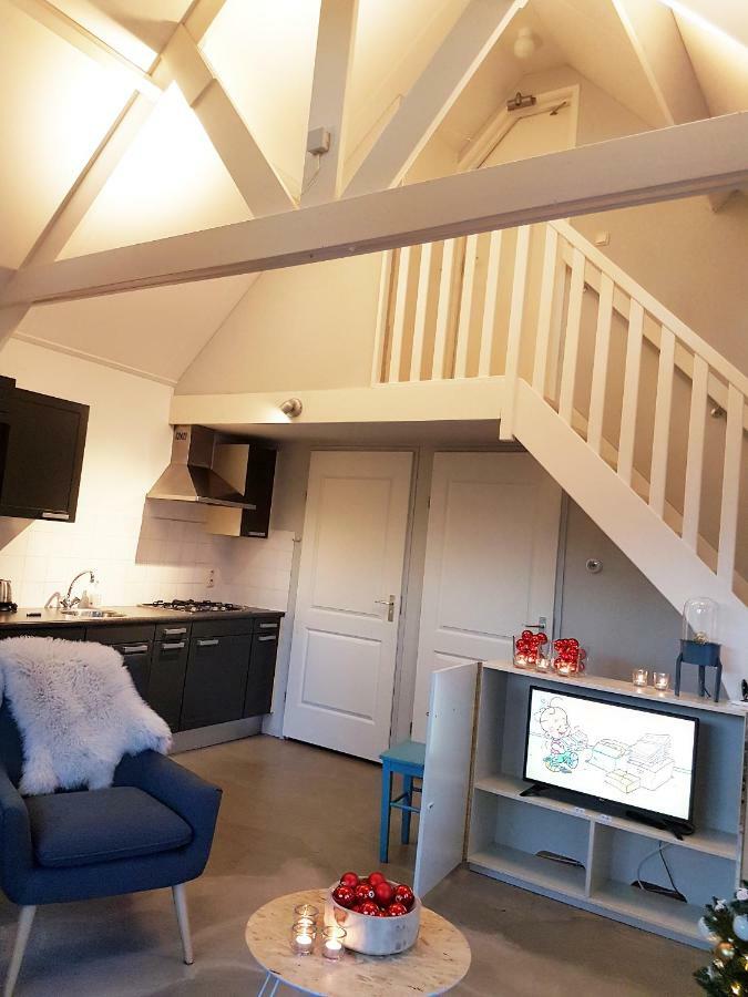 De Rozenbottel Villa Tzummarum Eksteriør bilde